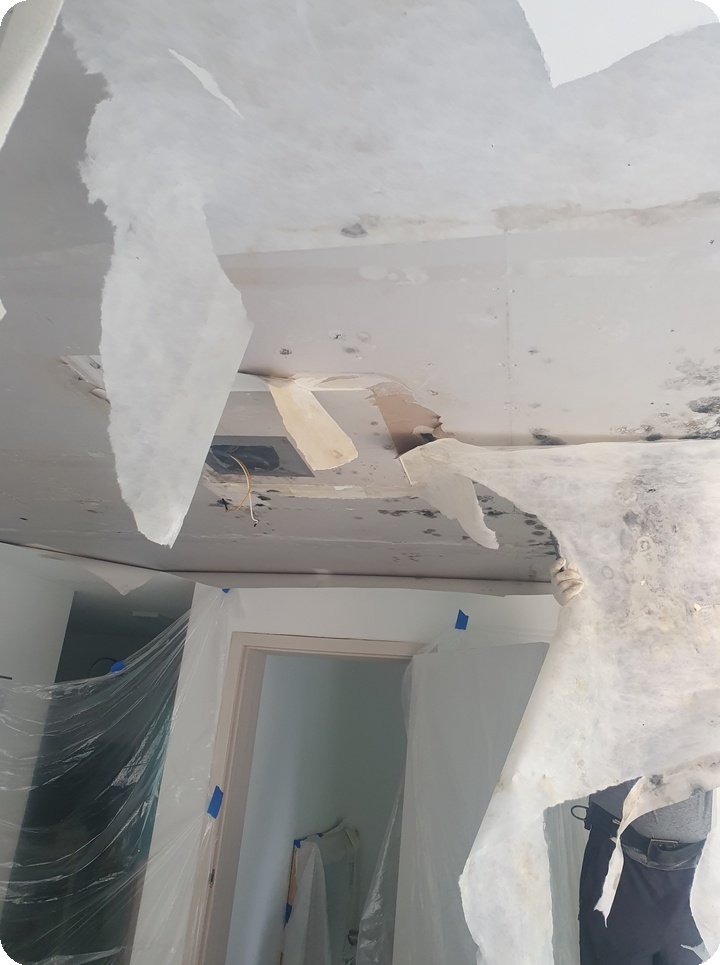 57e9dece5f45ab19adb0eeac94114544_1762414003_264.jpg 57e9dece5f45ab19adb0eeac94114544_1762414003_264.jpg