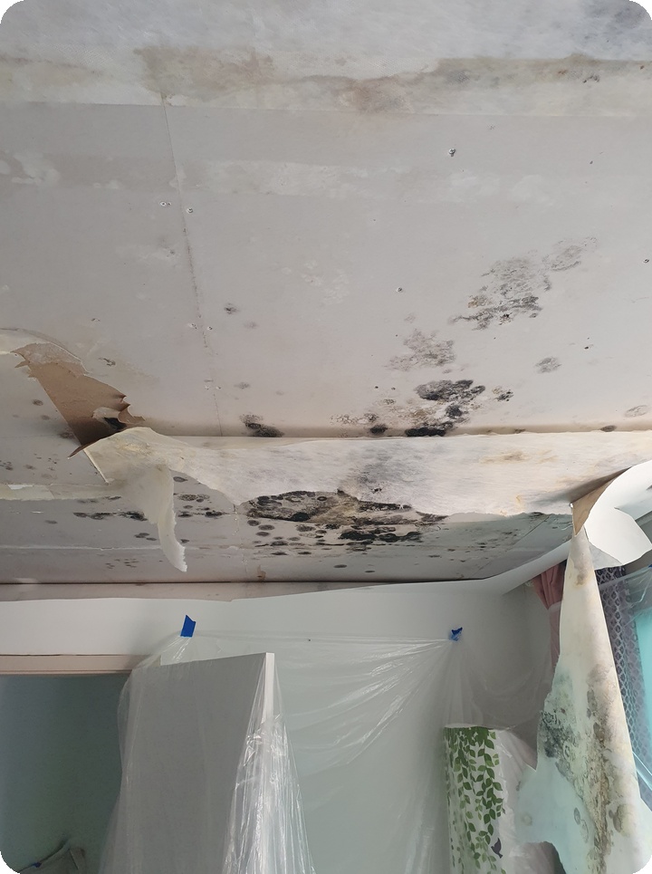 57e9dece5f45ab19adb0eeac94114544_1762414003_3527.jpg 57e9dece5f45ab19adb0eeac94114544_1762414003_3527.jpg