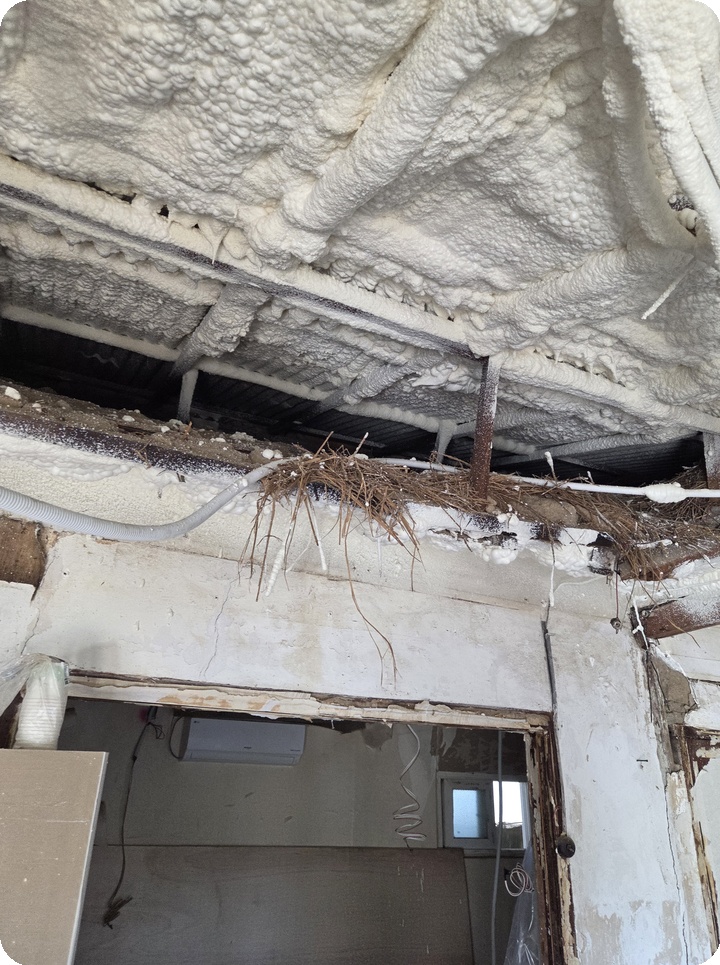 f1a315fd5e10f76a33532fc5b2d52d67_1762325173_2039.jpg f1a315fd5e10f76a33532fc5b2d52d67_1762325173_2039.jpg