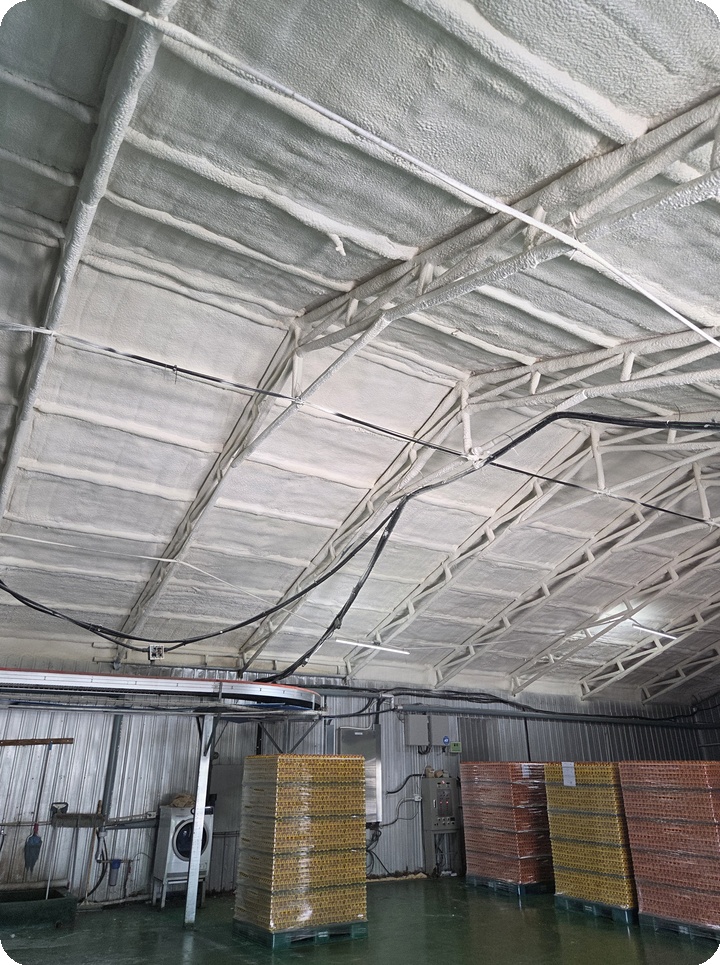 d1f26a6f2fad43b0fd5ec6f34079beb0_1764738696_5314.jpg d1f26a6f2fad43b0fd5ec6f34079beb0_1764738696_5314.jpg