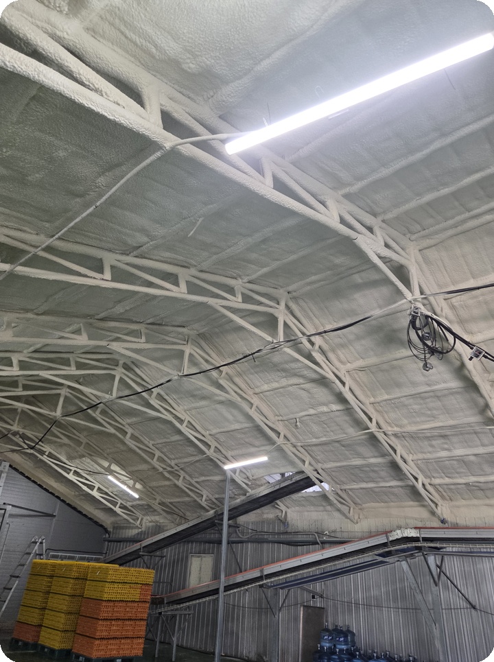 d1f26a6f2fad43b0fd5ec6f34079beb0_1764738696_6003.jpg d1f26a6f2fad43b0fd5ec6f34079beb0_1764738696_6003.jpg