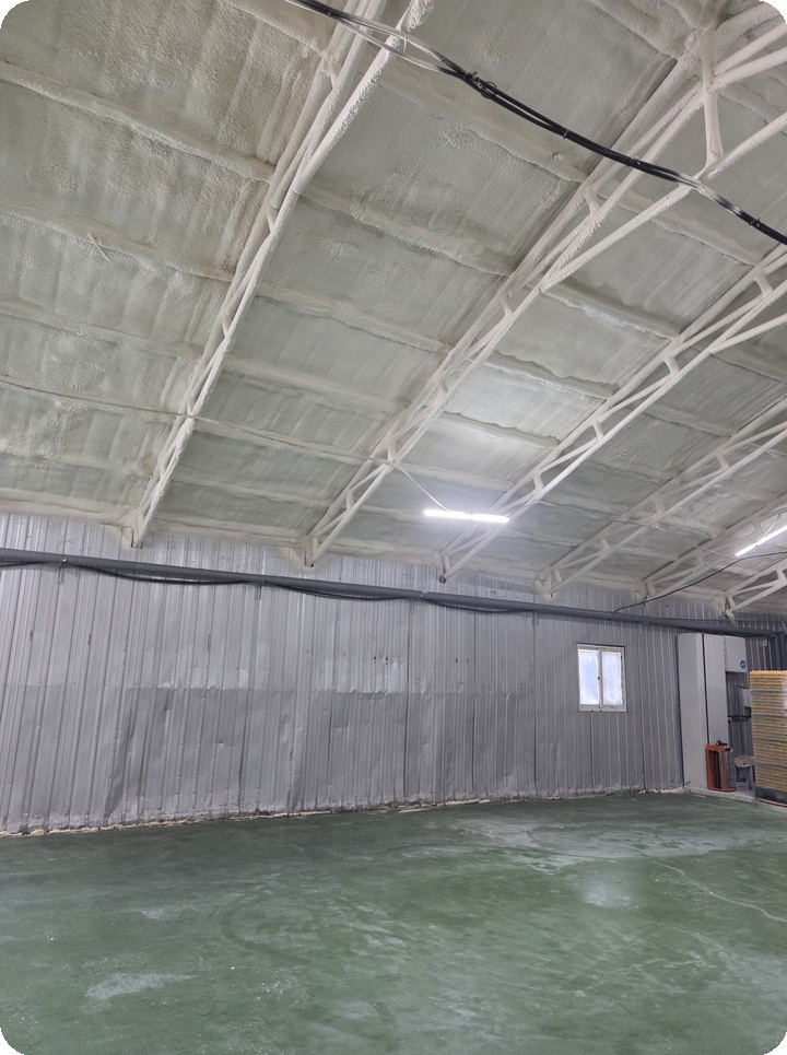 d1f26a6f2fad43b0fd5ec6f34079beb0_1764738696_798.jpg d1f26a6f2fad43b0fd5ec6f34079beb0_1764738696_798.jpg