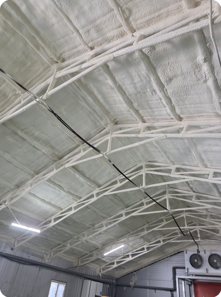 d1f26a6f2fad43b0fd5ec6f34079beb0_1764738696_8553.jpg d1f26a6f2fad43b0fd5ec6f34079beb0_1764738696_8553.jpg