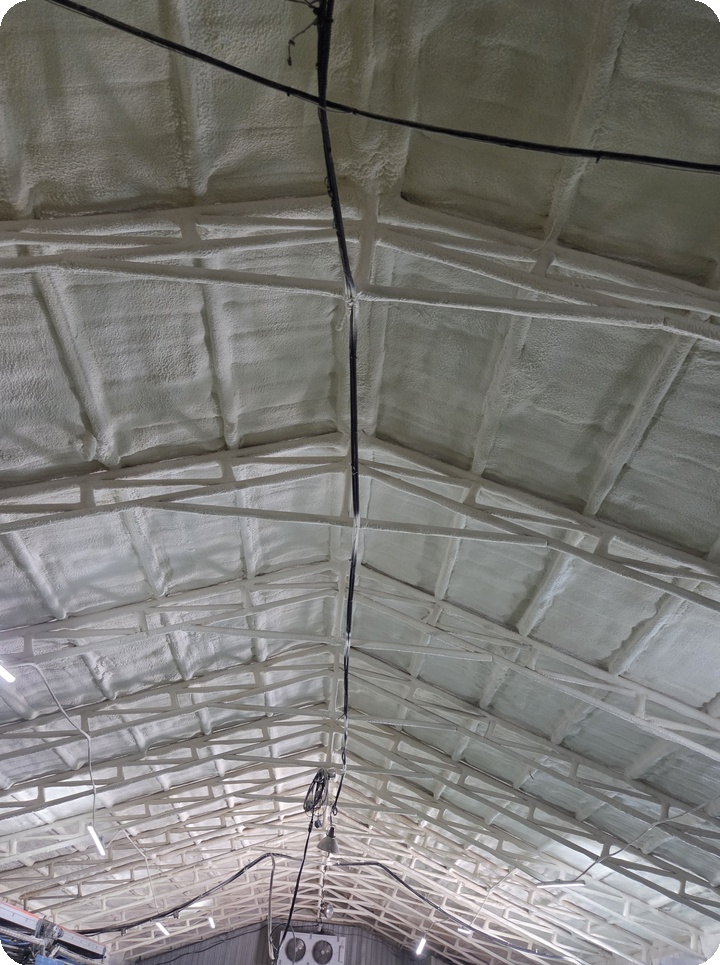 d1f26a6f2fad43b0fd5ec6f34079beb0_1764738696_9754.jpg d1f26a6f2fad43b0fd5ec6f34079beb0_1764738696_9754.jpg